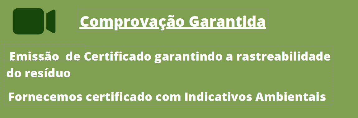 Captura de Tela 2024-11-03 às 13.56.06.png